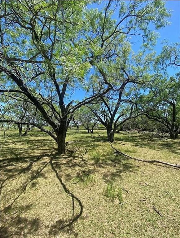 Lot 5 Gin Rd, Ennis, TX 75119 - photo 1