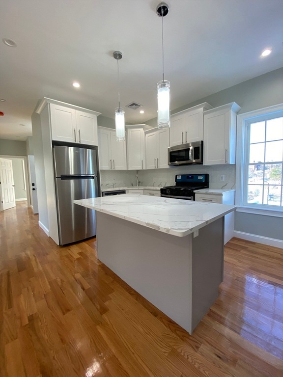 20 Kenton Rd unit 2, Jamaica Plain, MA 02130 - photo 1