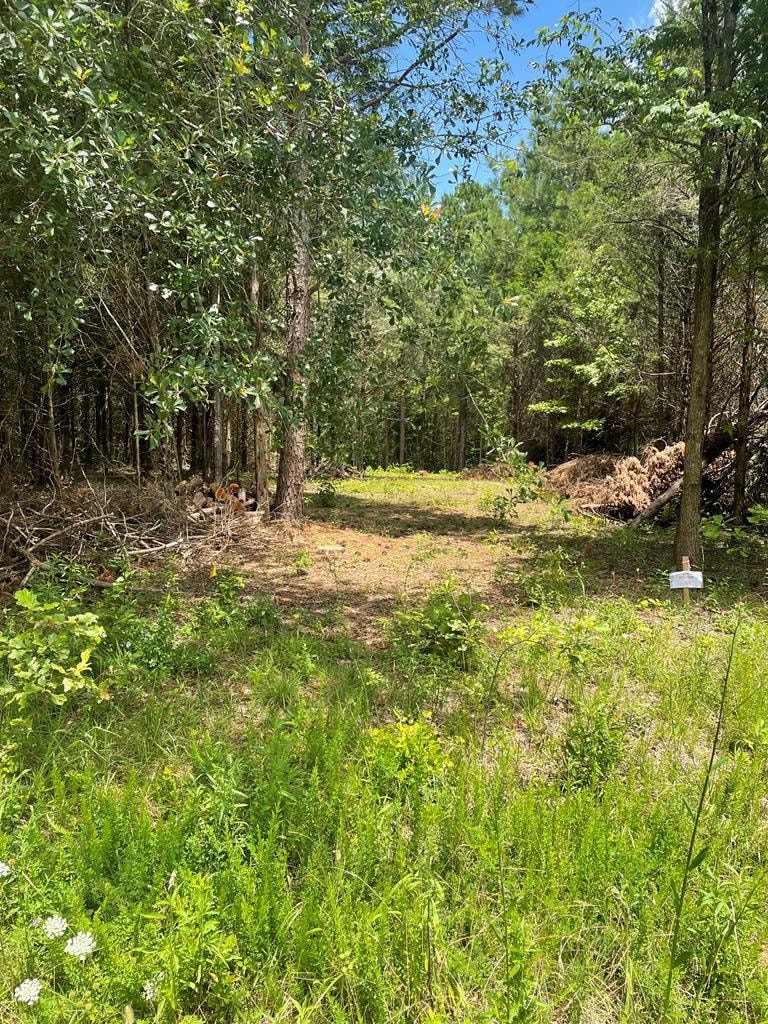 96 Deacon Rd, Calhoun Falls, SC 29628 - photo 1