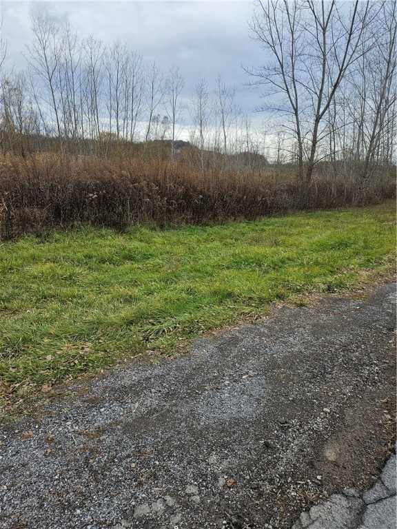 2009 Canandaigua Rd, MacEdon, NY 14502 - photo 1