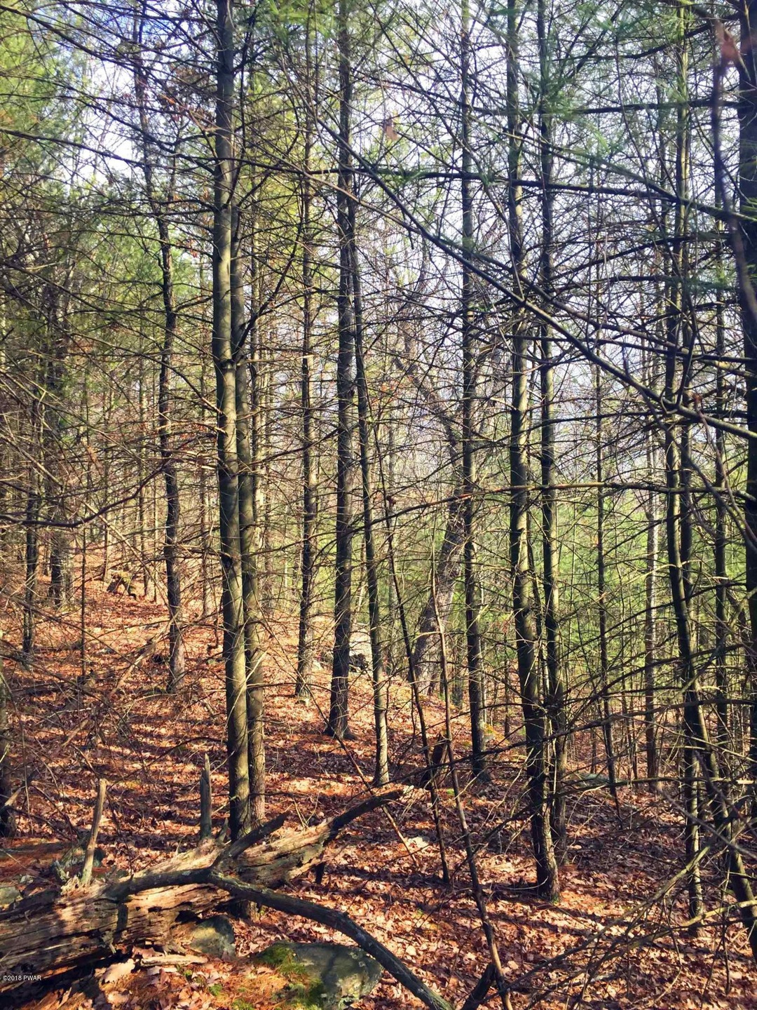 113 Pocono Circle Dr W, Dingmans Ferry, PA 18328 - photo 1