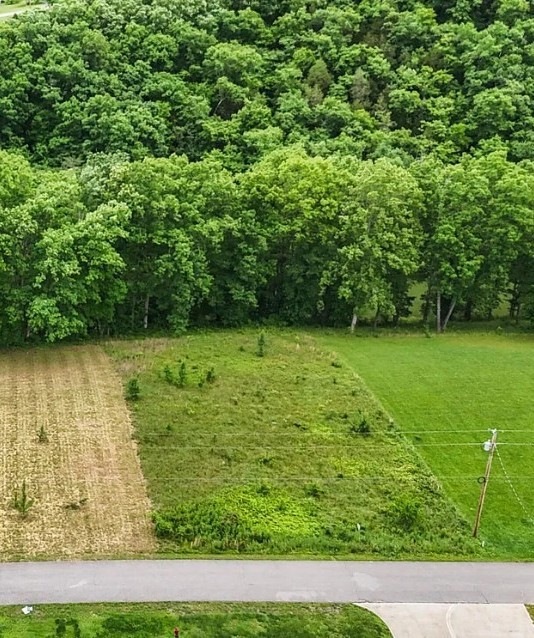 0 Wagon Ln unit RTC3043060, Speedwell, TN 37870 - photo 1