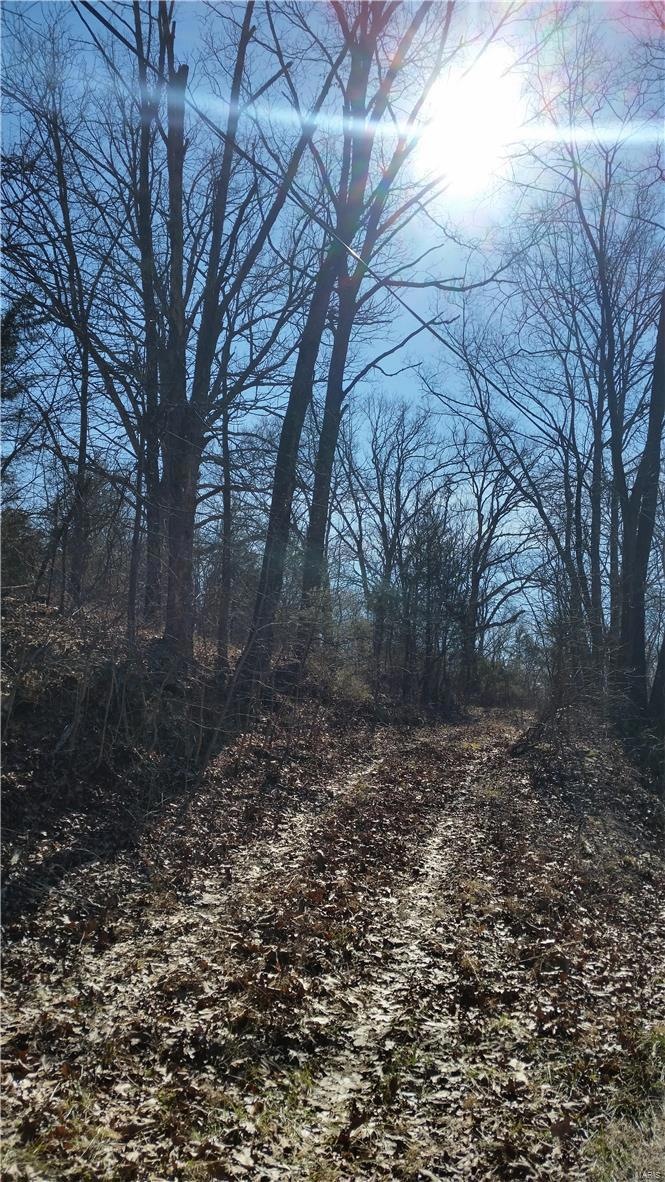 0 County Road 7310 unit 17013028, Doolittle, MO 65550 - photo 1