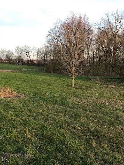 0 100 N, Cannelburg, IN 47519 - photo 1