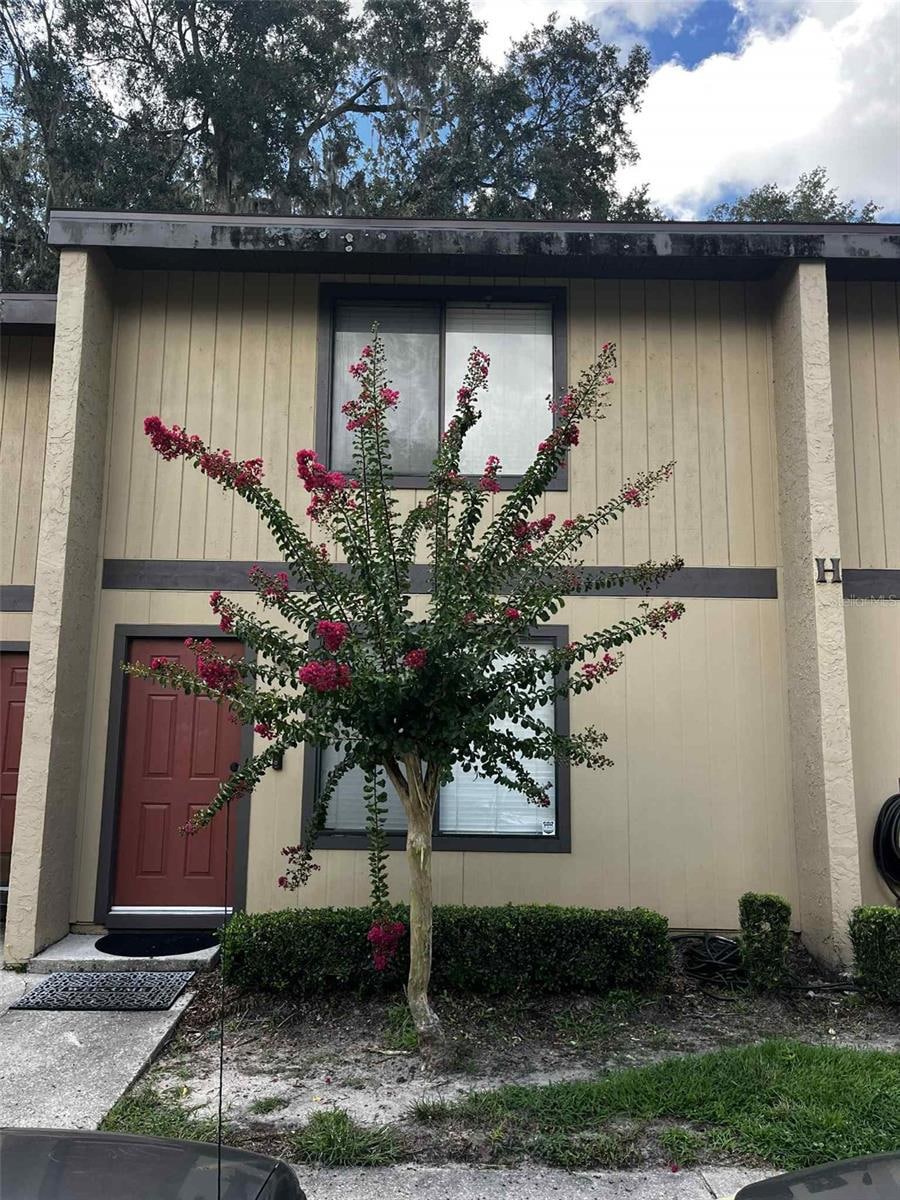 For Rent $1,450/month