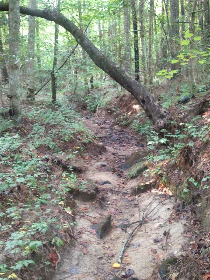 6675 Briarwood Dr, Oxford, NC 27565 - photo 1