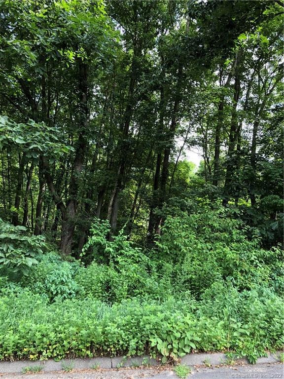 13 Altair Ave, Plymouth, CT 06782 - photo 1