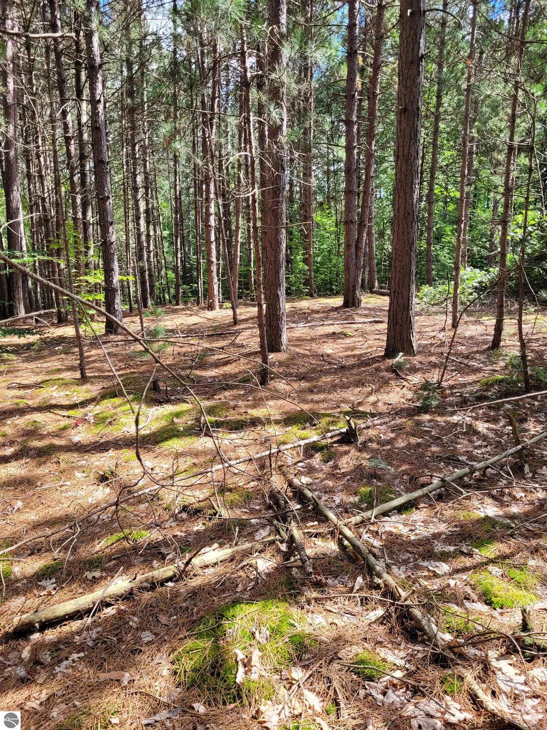 00 N Lakola Rd, Leroy, MI 49655 - photo 1