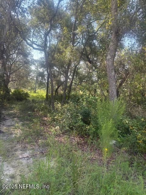 5727 Chippewa Ave, Keystone Heights, FL 32656 - photo 1