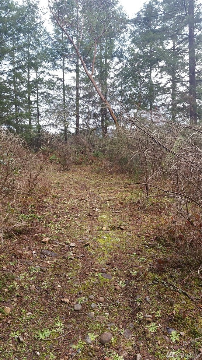 18412 Rampart Ct SE, Yelm, WA 98597 - photo 1