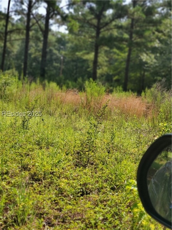 View of land with view of neighboring trees.