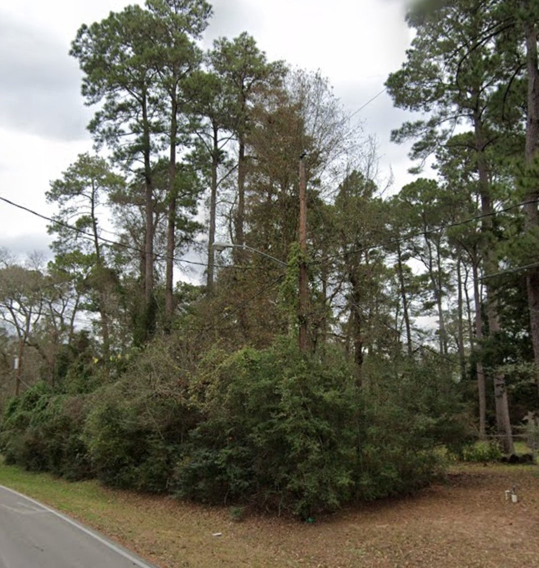 LOT 130 FROM STREET
