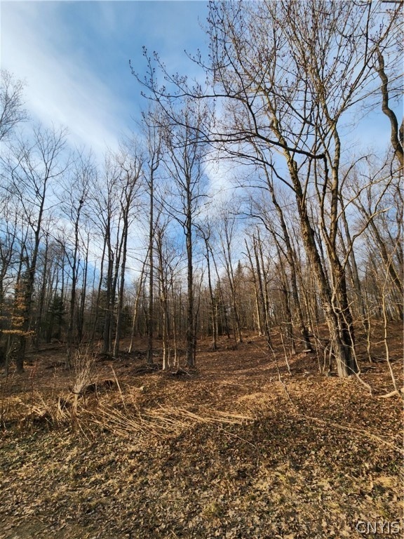 For Sale $57,000 • Co-Listing Agent