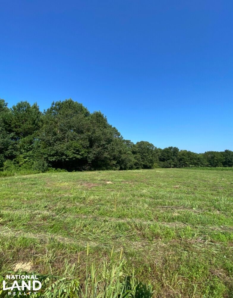 Highway 145, Columbiana, AL 35051 - photo 1