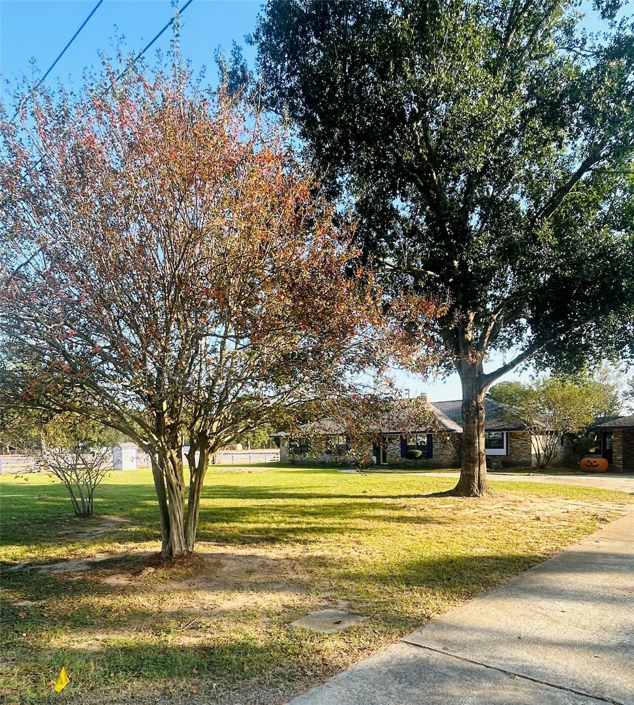 25404 Decker Prairie-Rosehill Rd, Magnolia, TX 77355 - photo 1