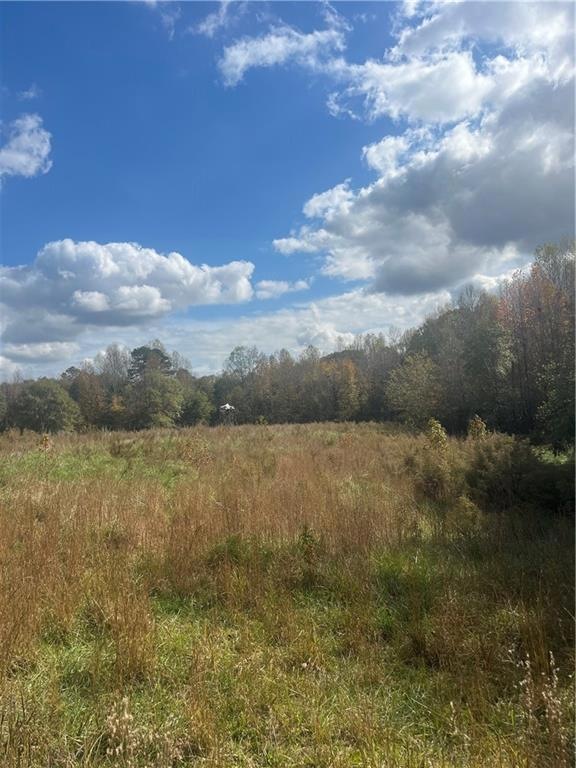 0 Skitts Mountain Dr unit 7481828, Lula, GA 30554 - photo 1