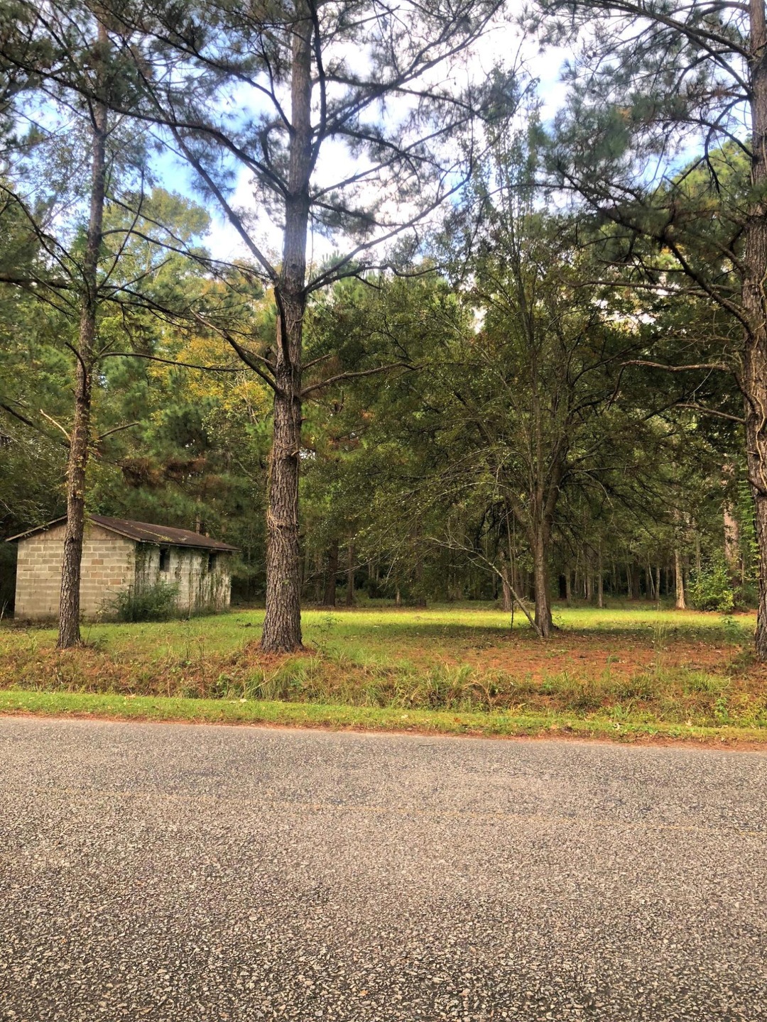 0 Pritcha Green Rd unit 18030070, Mount Pleasant, SC 29429 - photo 1