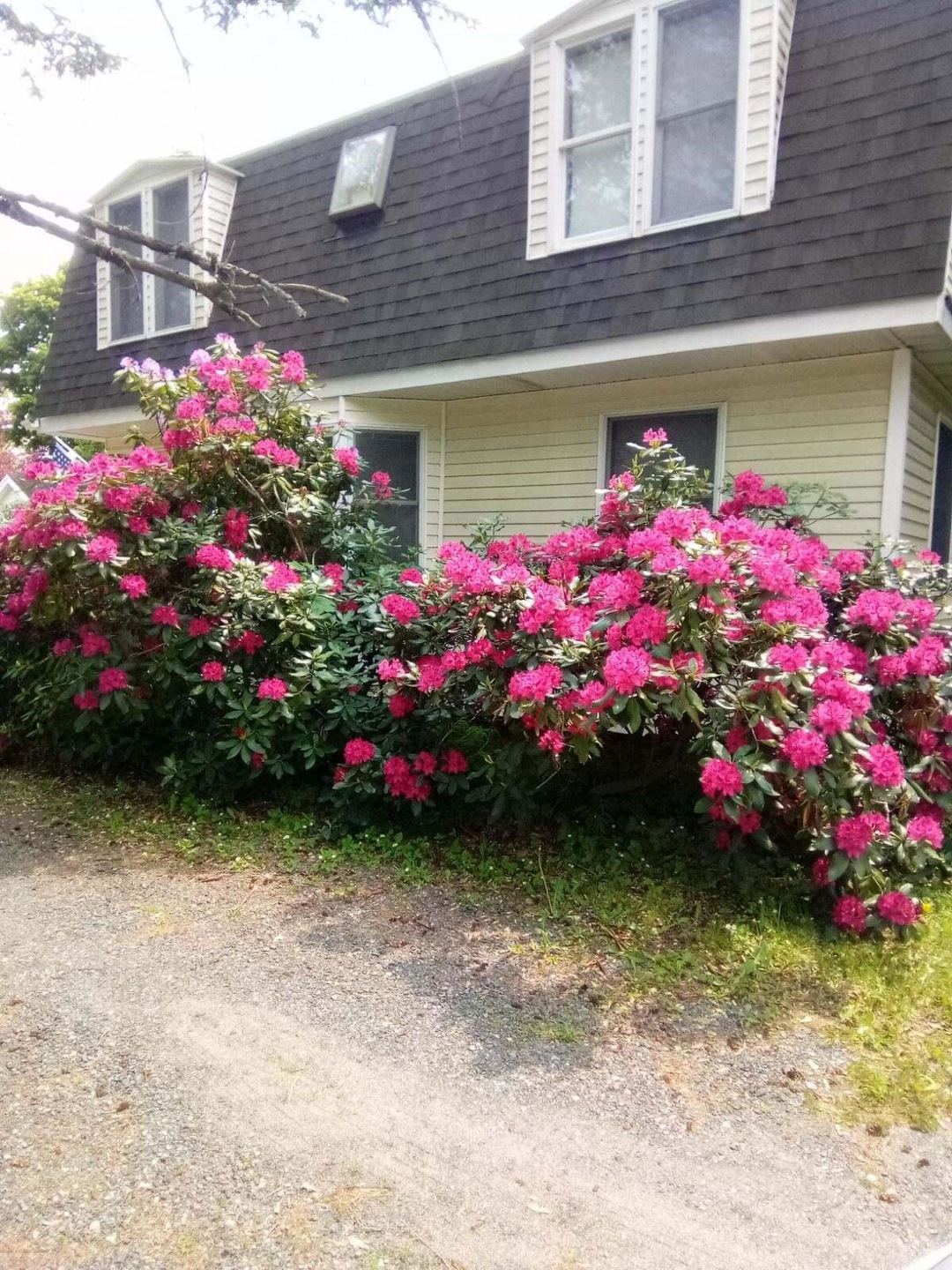 274 Buck St, Bangor, ME 04401 - photo 1