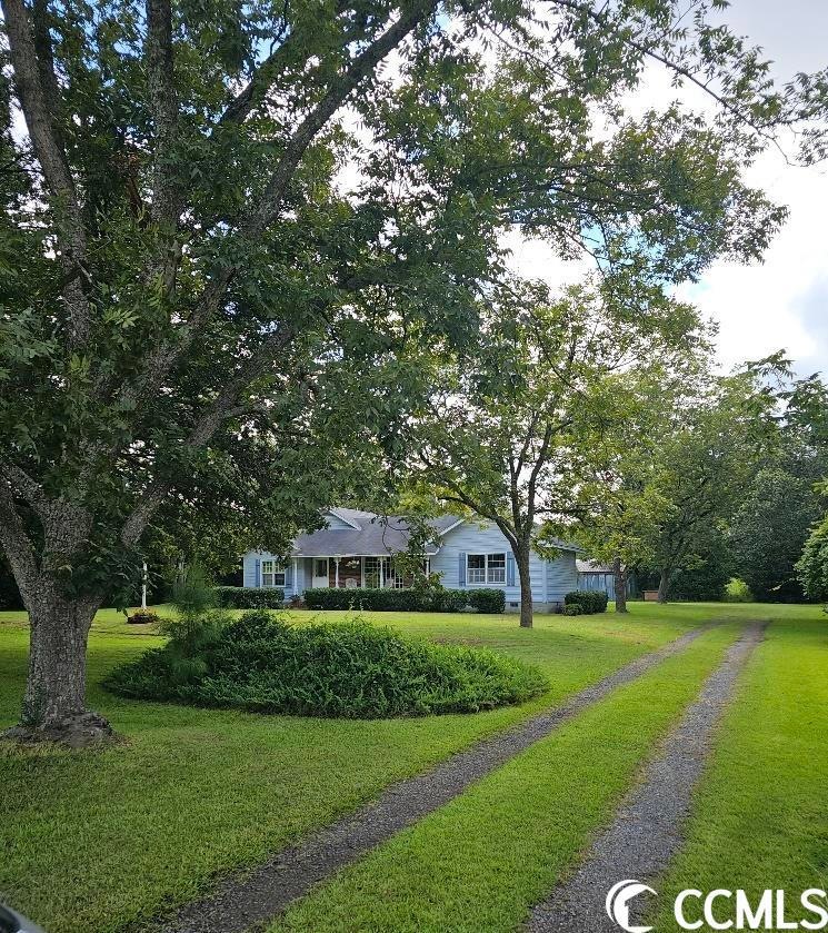 4436 Highway 19, Conway, SC 29526 - photo 1