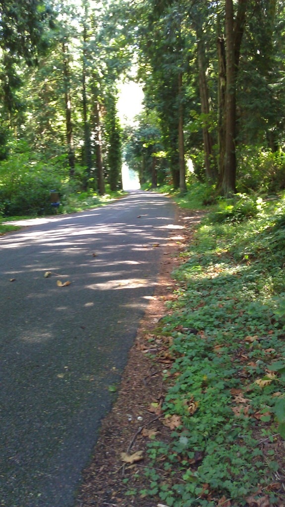 18120 Olive Ave, Stanwood, WA 98292 - photo 1