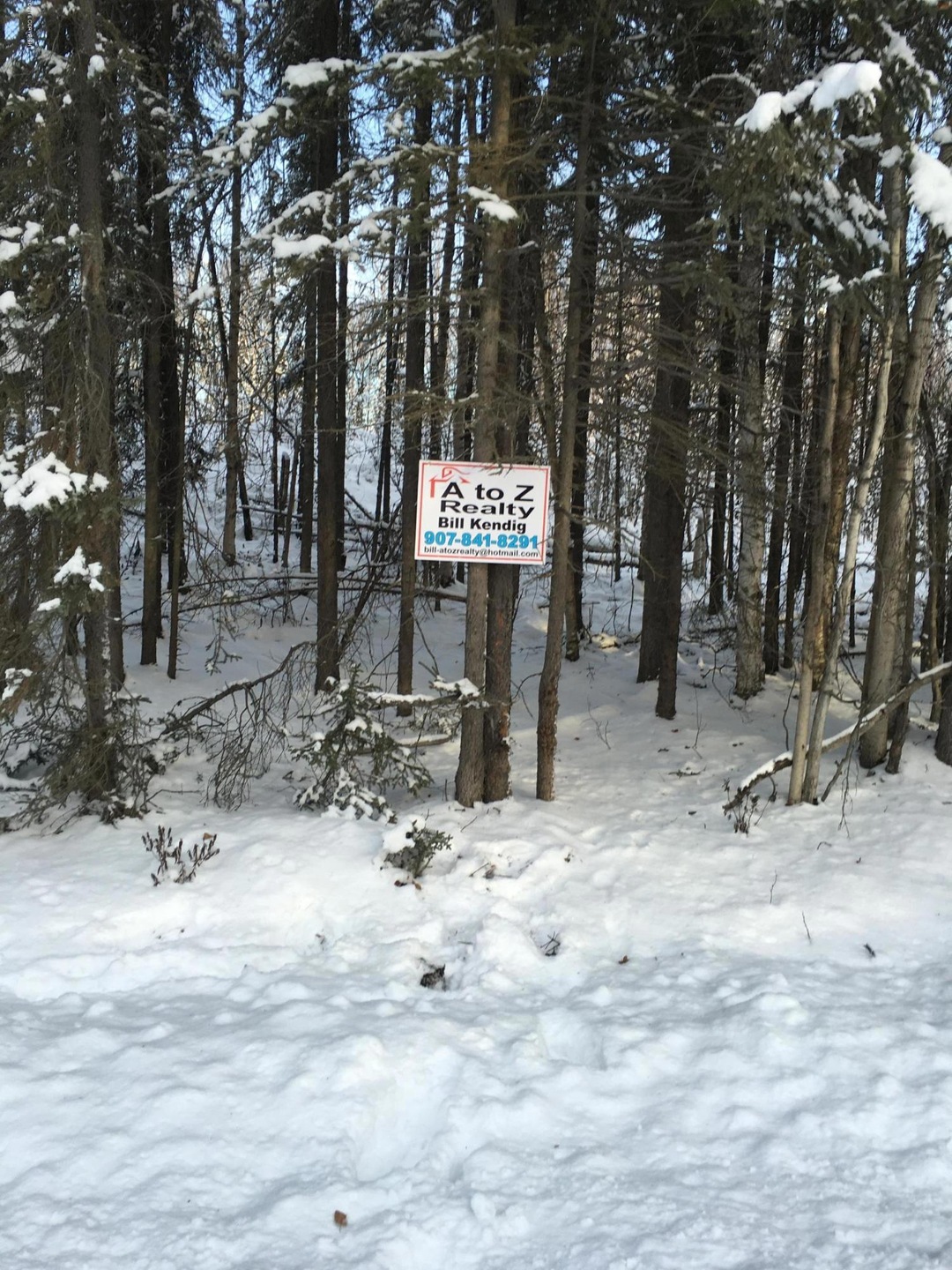 11359 Cat Tail Cir, Houston, AK 99654 - photo 1