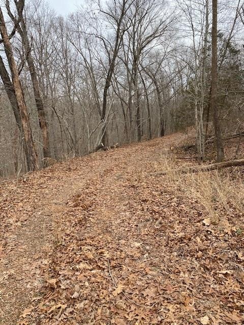 0 Devonshire (Lot 27) Ln unit 1172567, Bella Vista, AR 72715 - photo 1