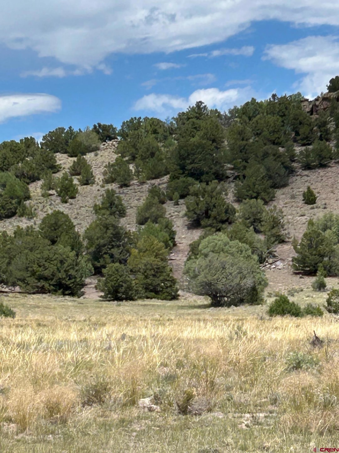 TBD Tbd, La Jara, CO 81140 - photo 1