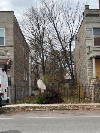 1518 S Homan Ave, Chicago, IL 60623 - photo 1