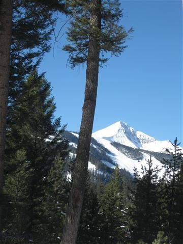 Lot 2 Sleeping Bear, Big Sky, MT 59716 - photo 1