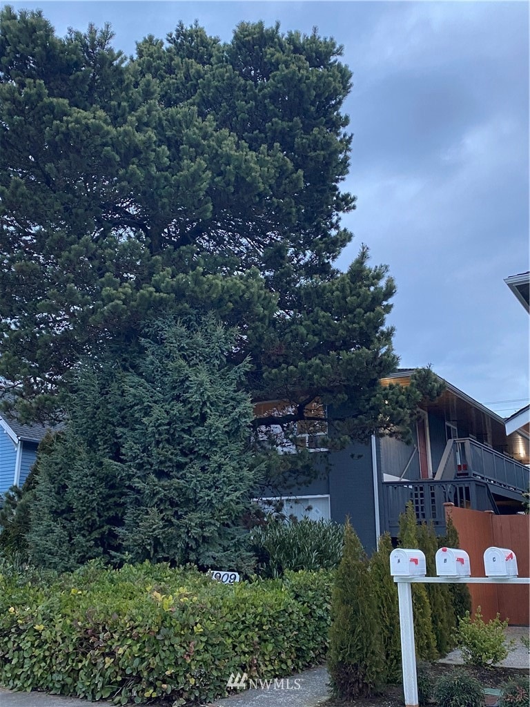 1909 Hoyt Ave, Everett, WA 98201 - photo 1