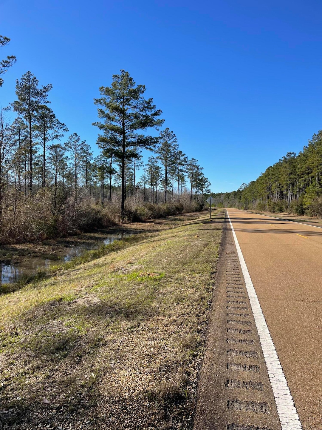 Lot 1 Ms-44, Columbia, MS 39429 - photo 1