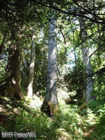 Lots14 &15 Birch St, Cannon Beach, OR 97110 - photo 1