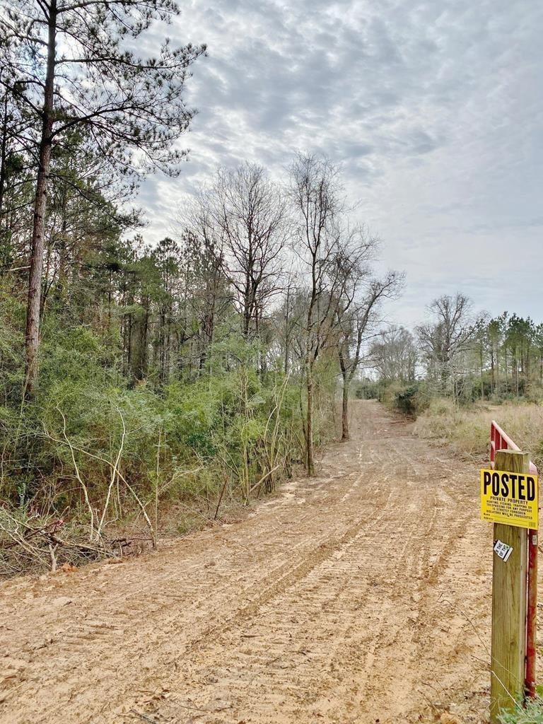000 Maggie Johnson Rd, Tylertown, MS 39667 - photo 1