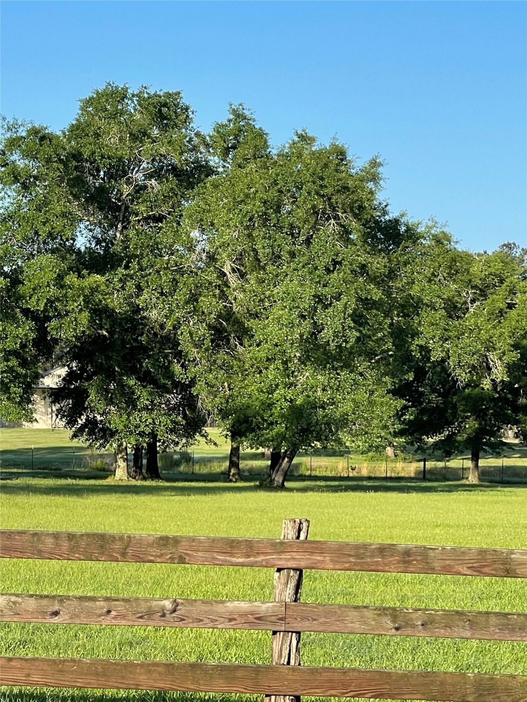 37031 Red Rock, Magnolia, TX 77355 - photo 1