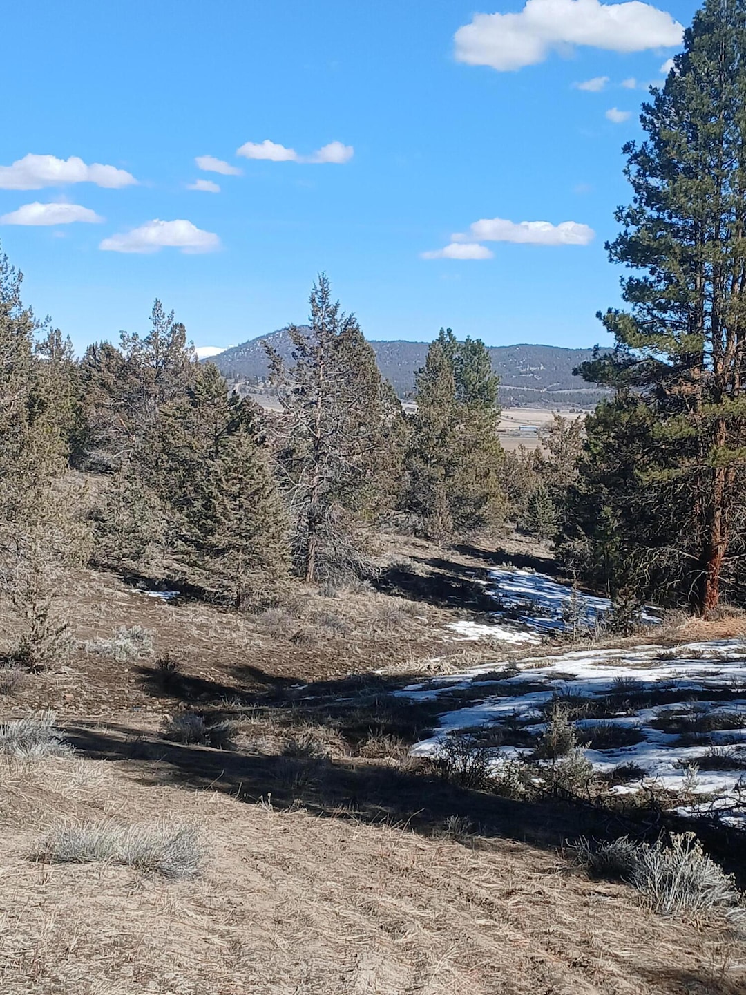 0 Drews Rd unit 220198278, Beatty, OR 97621 - photo 1