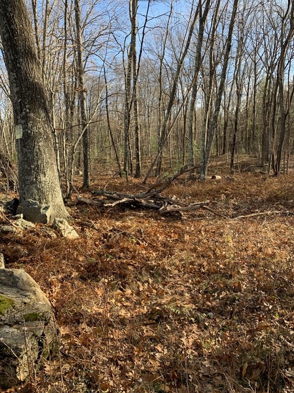 Lot AB Adams Rd, Barre, MA 01005 - photo 1