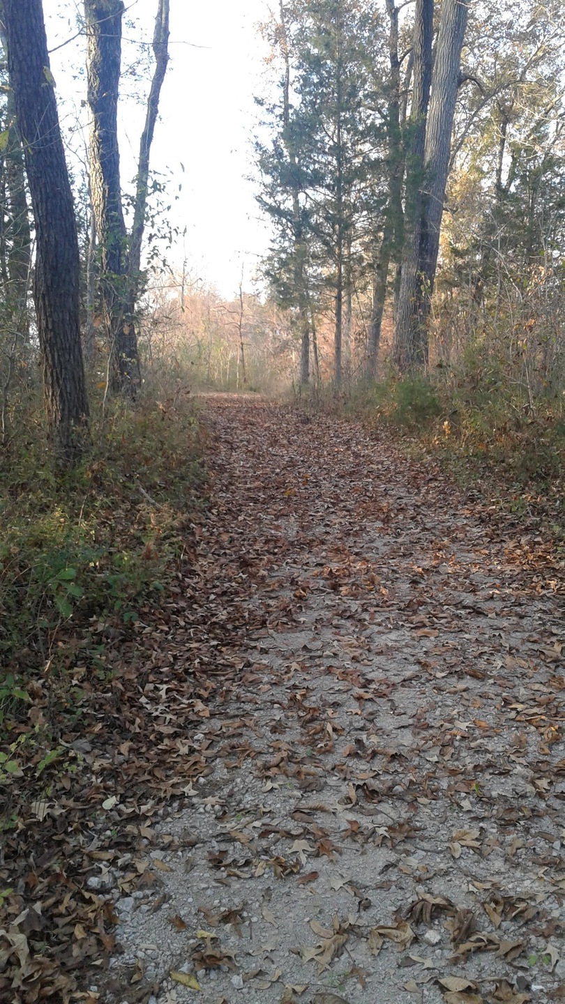 Lane back to the 4.01 acres