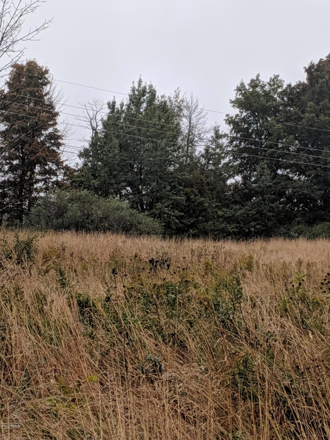 MVIMG_20191007_152610