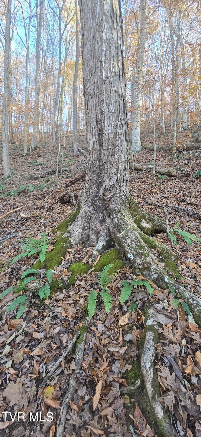 2351 Line Rd, Eidson, TN 37731 - photo 1