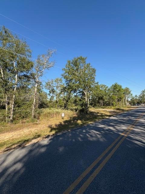 Lot 52 Howlin Rd, Defuniak Springs, FL 32433 - photo 1