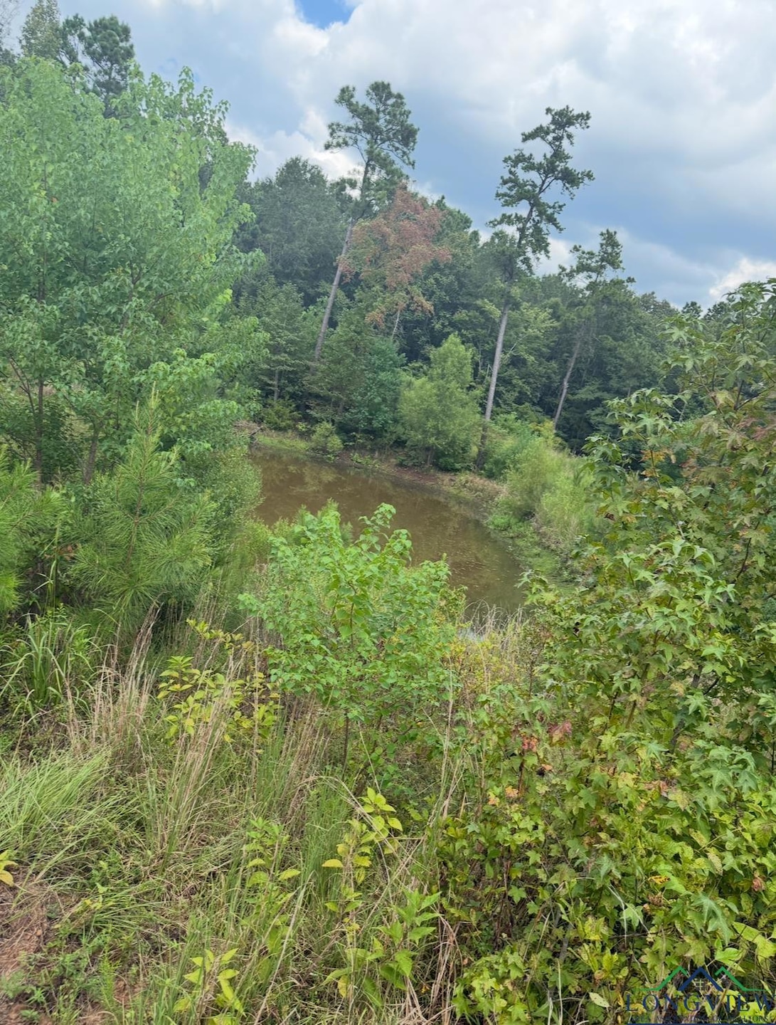 12543 Farm To Market 225, Cushing, TX 75760 - photo 1