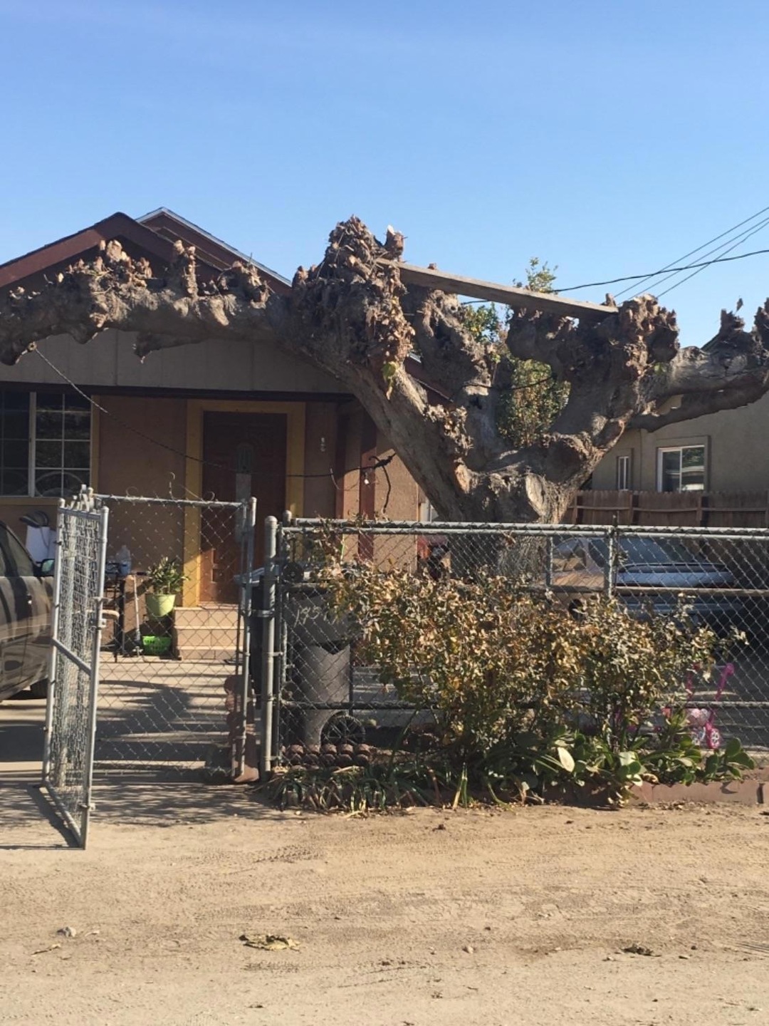 14574 Tobias Rd, Poplar, CA 93257 - photo 1