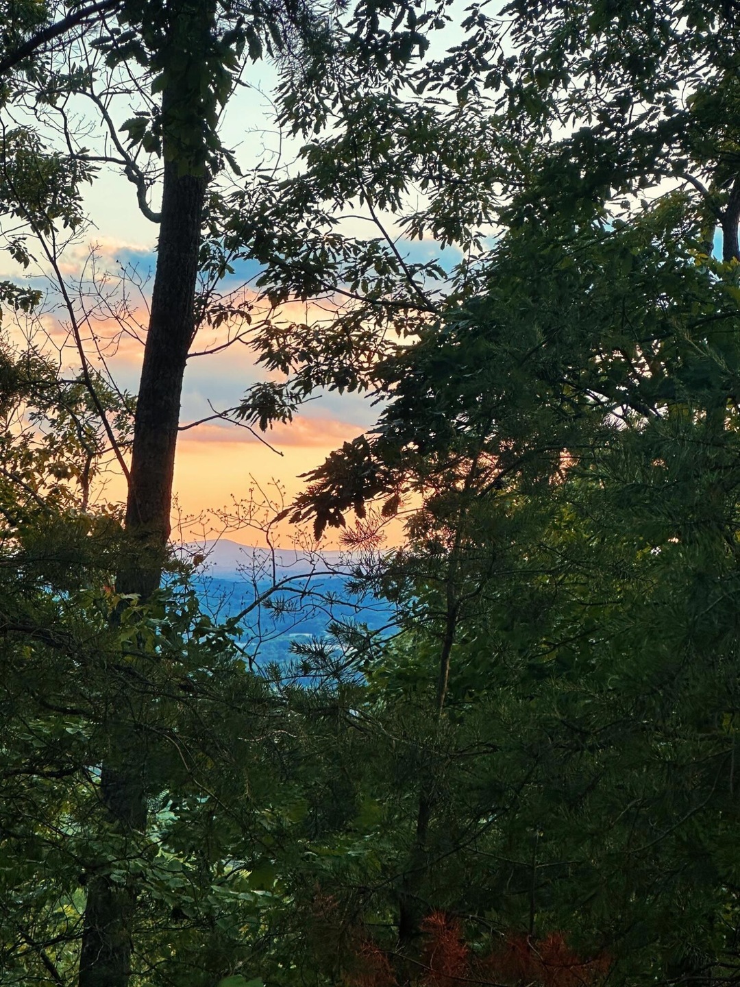 Dawn