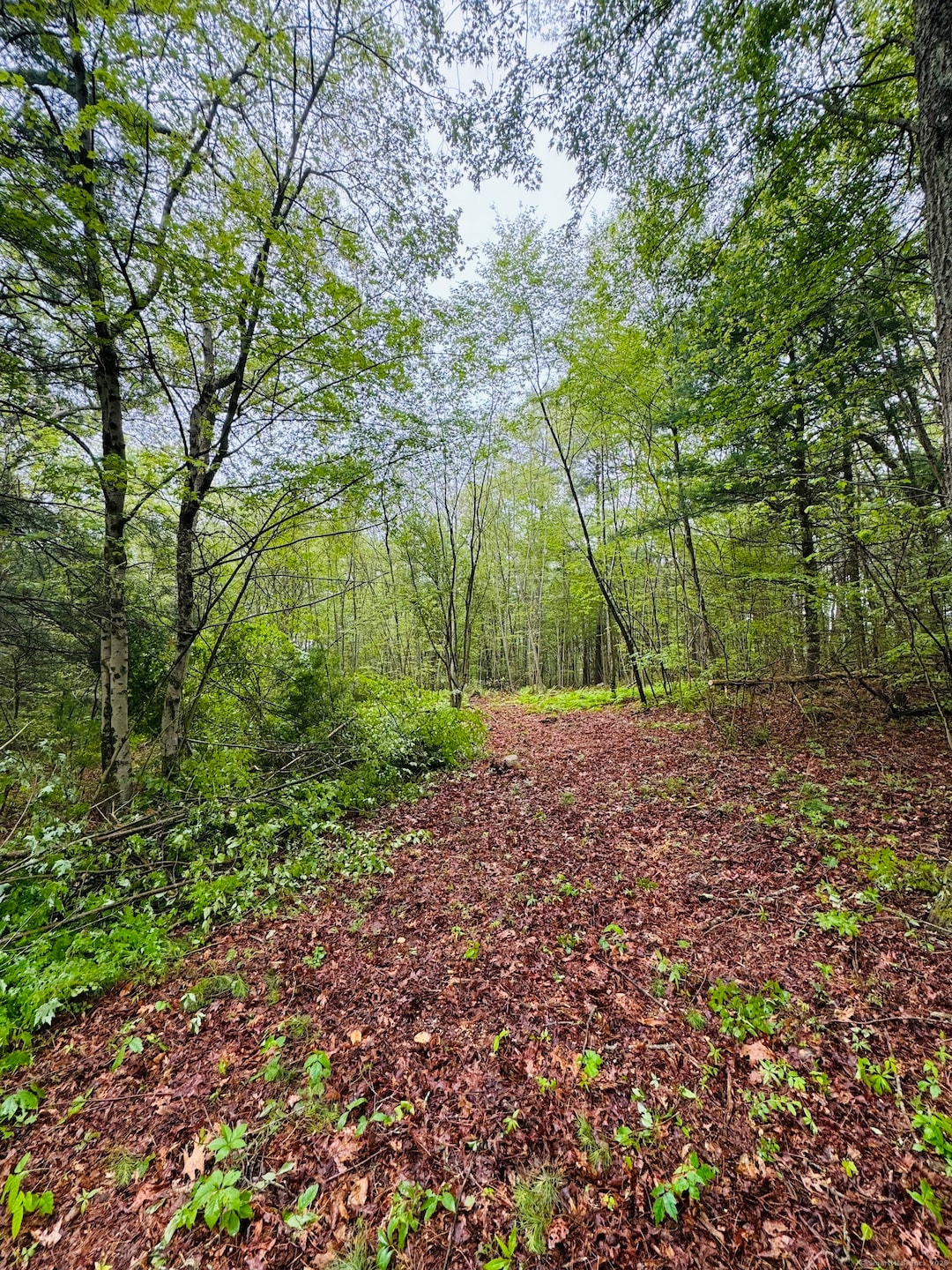 For Sale $79,900 • Co-Listing Agent