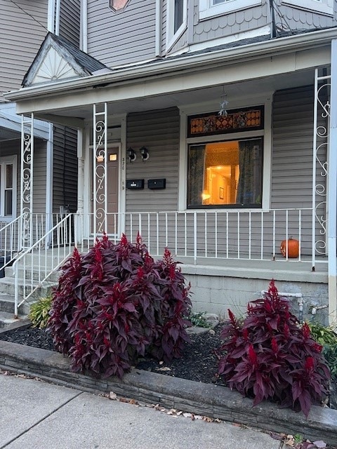 Welcome to 526 Osceola Street!
