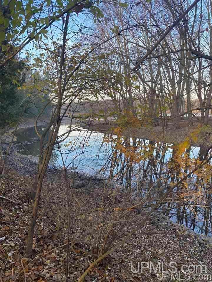 TBD River Dr unit 2, Wallace, MI 49893 - photo 1