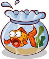 Fish bowl