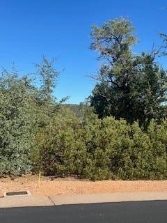 LOT 35 E Velvet Mesquite Ct, Payson, AZ 85541 - photo 1