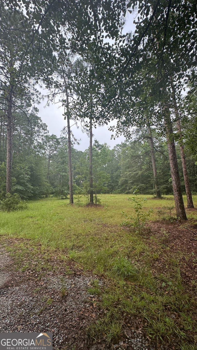 0 Sara Lynn Dr unit 10576280, Claxton, GA 30417 - photo 1