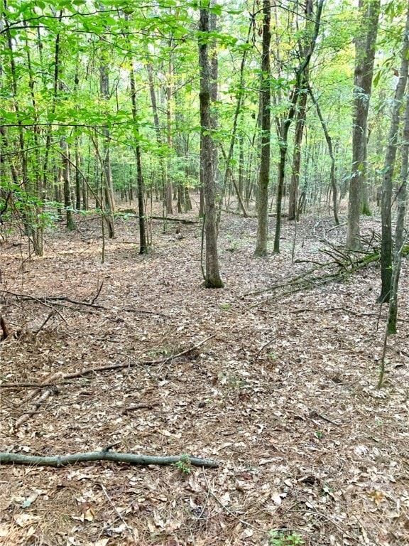 0 Archer Grove School Rd unit Tract B CL339824, Athens, GA 30607 - photo 1